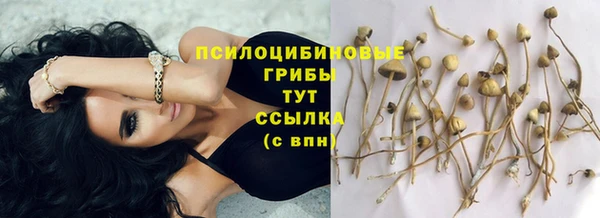 не бодяженный Абинск