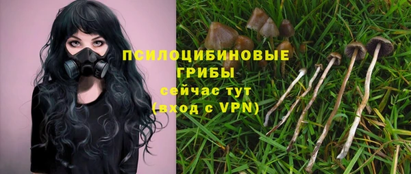 стафф Абаза