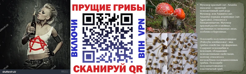 хочу наркоту кракен Псилоцибиновые грибы Psilocybe Ува